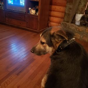 Meet your Posher, Timothy